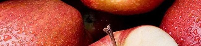 Rereree's header image