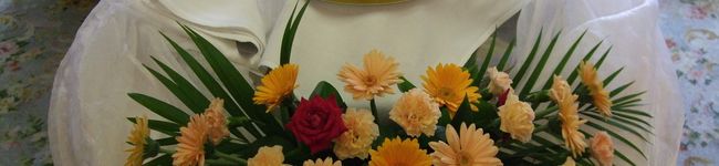 omega0513's header image