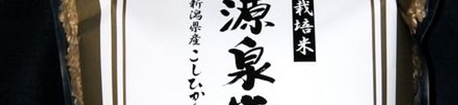 源泉米's header image