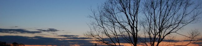 BarbaraAnn's header image