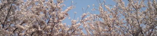 nagushi's header image