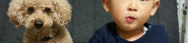 kotepoo's header image