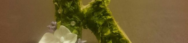 KOMI☆AYU's header image