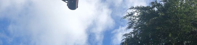 メーさん's header image