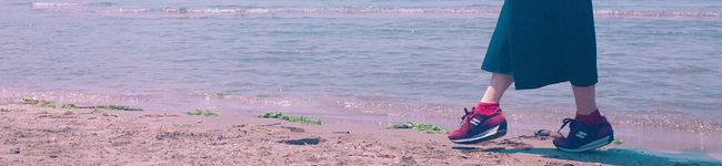 ひかりタン's header image