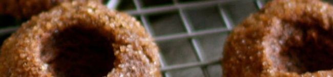 SACHIFEB's header image