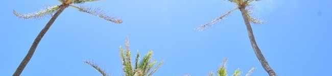Aloha＊KUMA's header image