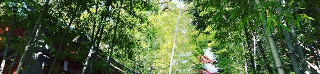 azumaman65's header image