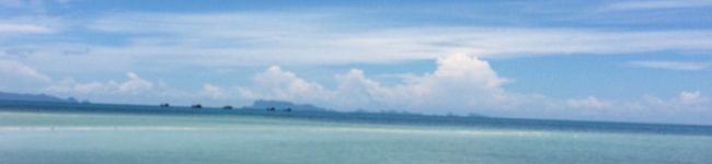 Yuk114's header image