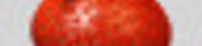 ちびっk's header image