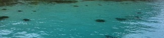 nonnonju's header image