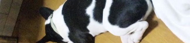 Célia.'s header image