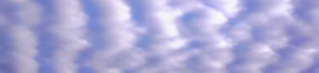 そうじろう's header image