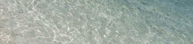 ♡みちゃむ♡'s header image