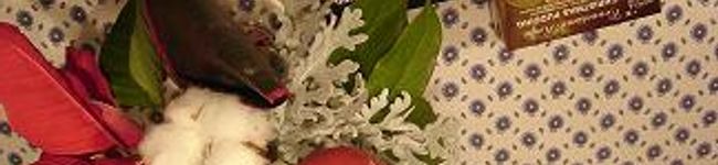 ray2's header image