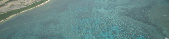 lanilani's header image