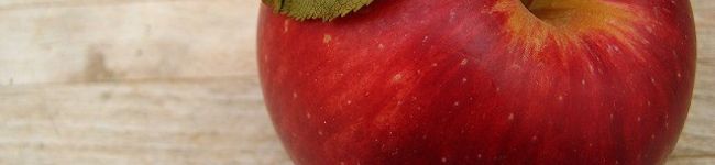 apple＊tree's header image