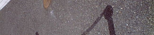 cozue's header image