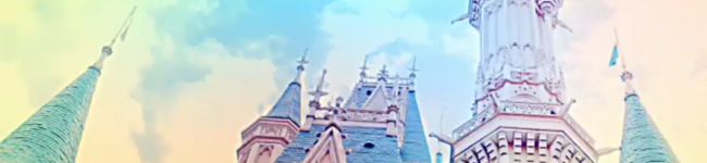 まめたりり's header image