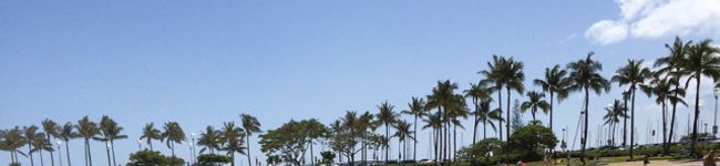 lizwelxx's header image