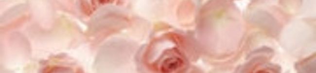 datsdats's header image