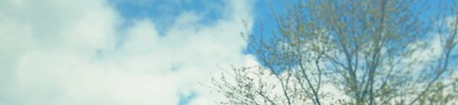にくまんさん's header image