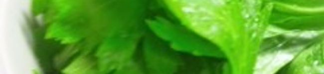 mymtayk725's header image