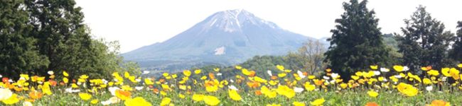 ８ぽん's header image
