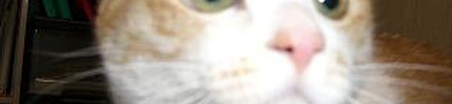 anath's header image
