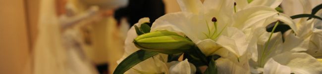 bee03's header image