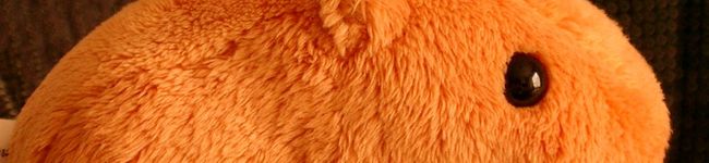 zac's header image