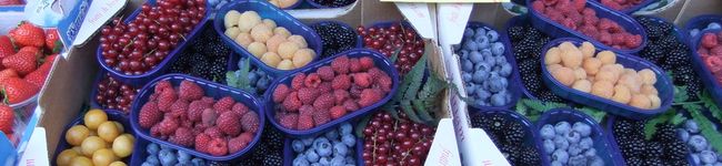 くじら食堂's header image