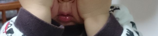kuma_noco's header image