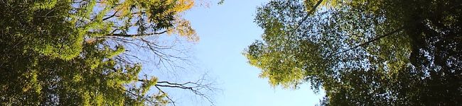 こっこ1020's header image