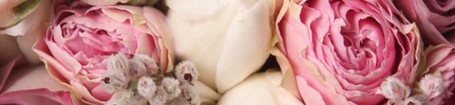 ☆☆すー☆☆'s header image