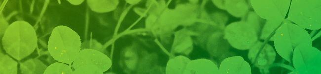 MEILIN's header image