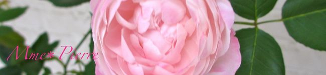 Mme＊Pierre's header image