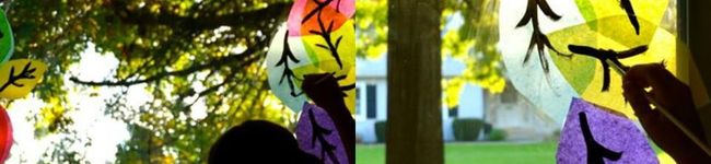 mushroomns's header image