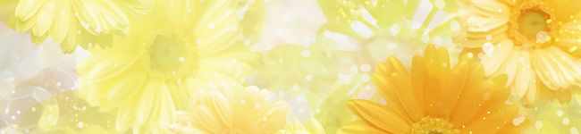 天下一のスマイル's header image