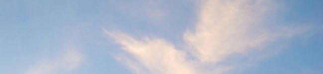 りんたんりん's header image