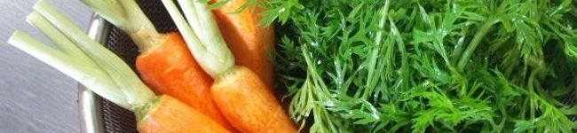 Mkalen's header image