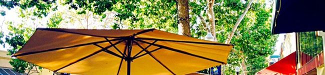 mongome's header image