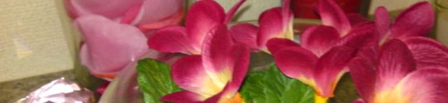 agepanda's header image