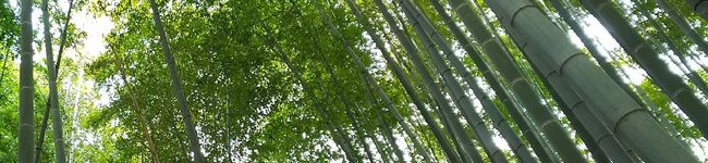 優利亜's header image