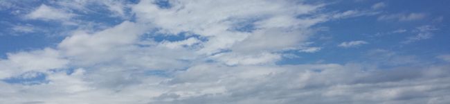 yumibinch's header image