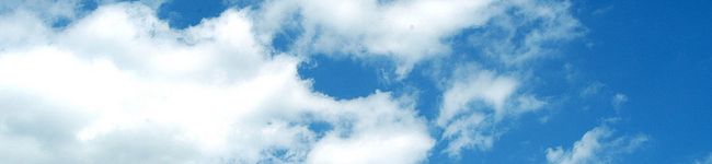 bebe1313's header image