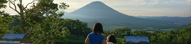 ネネヒナママ's header image