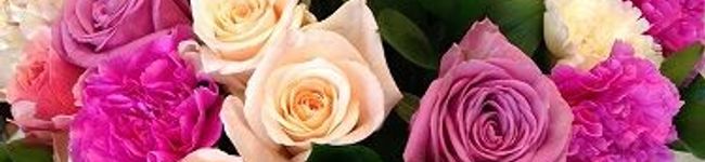 daintiest's header image