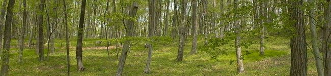えみぷる's header image