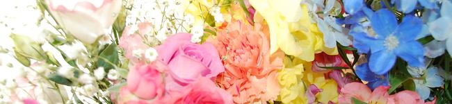 花晴◎'s header image
